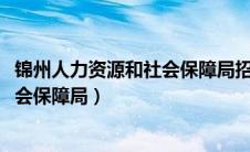 锦州人力资源和社会保障局招聘网2023（锦州人力资源和社会保障局）