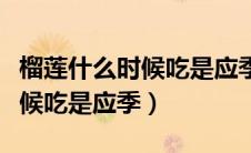榴莲什么时候吃是应季口感最好（榴莲什么时候吃是应季）