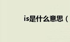is是什么意思（ir是什么意思）