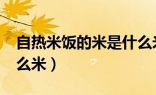 自热米饭的米是什么米?（自热米饭的米是什么米）