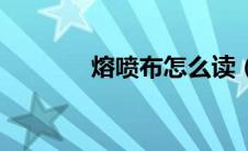 熔喷布怎么读（熔喷布英文）