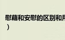 慰藉和安慰的区别和用法（慰藉和安慰的区别）
