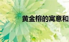 黄金榕的寓意和风水（黄金绒）