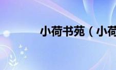 小荷书苑（小荷欲绽txt下载）