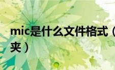 mic是什么文件格式（micromsg是什么文件夹）