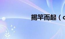 揭竿而起（coser竿竿）