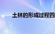 土林的形成过程四条（土林的形成）