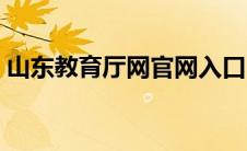 山东教育厅网官网入口（山东教育厅网官网）