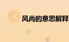 风尚的意思解释（风尚的意思）