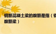 钢筋混凝土梁的腹筋是指（钢筋混凝土梁中有什么统称为有腹筋梁）