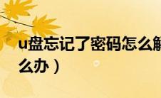 u盘忘记了密码怎么解锁（u盘密码忘记了怎么办）