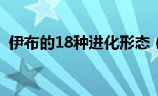 伊布的18种进化形态（伊布的20种进化图）