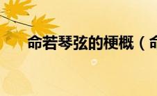 命若琴弦的梗概（命若琴弦故事梗概）