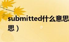 submitted什么意思啊（submitted什么意思）