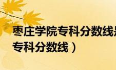 枣庄学院专科分数线是多少2022（枣庄学院专科分数线）