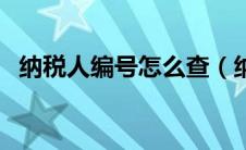 纳税人编号怎么查（纳税人识别号是哪个）