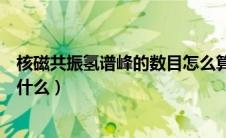 核磁共振氢谱峰的数目怎么算（核磁共振氢谱峰面积比表示什么）