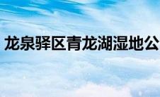 龙泉驿区青龙湖湿地公园（青龙湖湿地公园）