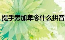提手旁加卑念什么拼音（提手旁加卑念什么）