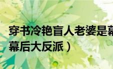 穿书冷艳盲人老婆是幕后大反派顾言（柯南之幕后大反派）