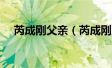 芮成刚父亲（芮成刚当年犯什么罪入狱）