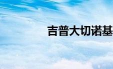 吉普大切诺基L在野外发现
