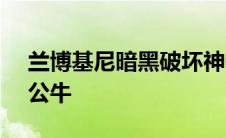 兰博基尼暗黑破坏神GTR是一头更加邪恶的公牛