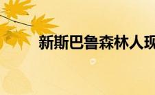 新斯巴鲁森林人现已成为顶级车型