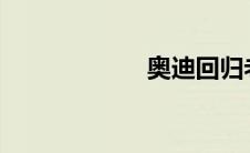 奥迪回归老式按钮