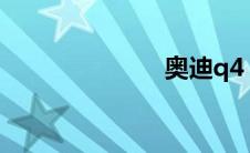 奥迪q4 e-tron