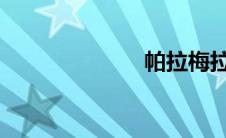 帕拉梅拉车图片