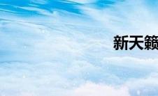 新天籁2013