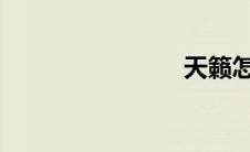 天籁怎么样