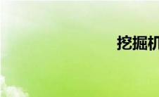 挖掘机轴承