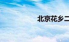 北京花乡二手车市场
