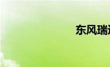 东风瑞达起亚