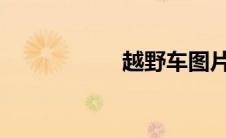 越野车图片大全大图