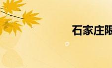 石家庄限号查询