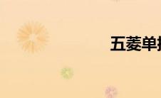 五菱单排货车