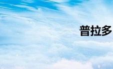 普拉多(进口)