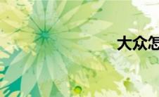 大众怎么样
