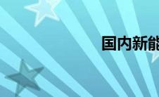 国内新能源汽车