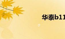华泰b11青花瓷