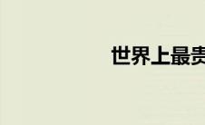 世界上最贵的豪华车