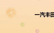 一汽丰田BZ3图
