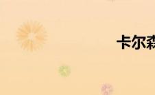 卡尔森c25