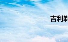 吉利剃须刀