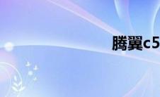 腾翼c50油耗