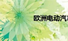 欧洲电动汽车销售遇冷