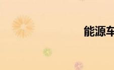 能源车价格